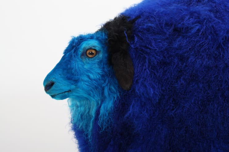 Artube visita la mostra Yang Maoyuan/ A Loulan citizen , ABC-ARTE