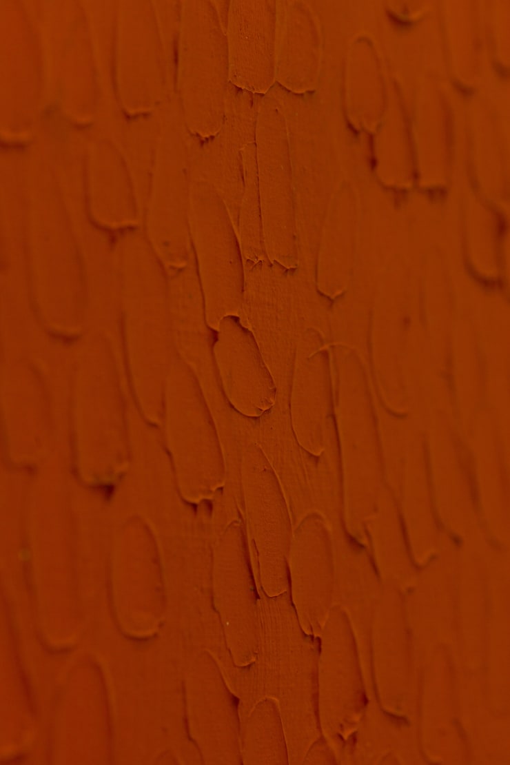 Bernard Aubertin, Monochrome rouge, 1974- Detail