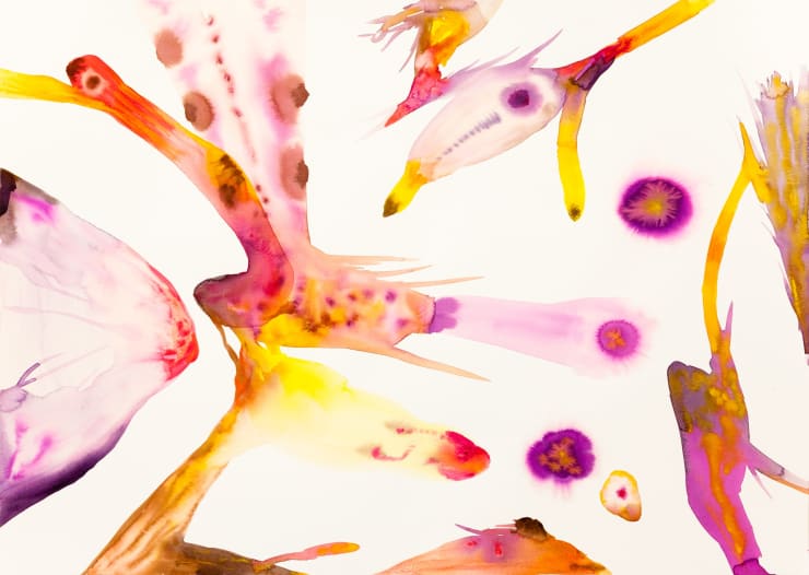 Isabella Nazzarri, Innesti #66, 2016, 50x70cm, watercolor on paper