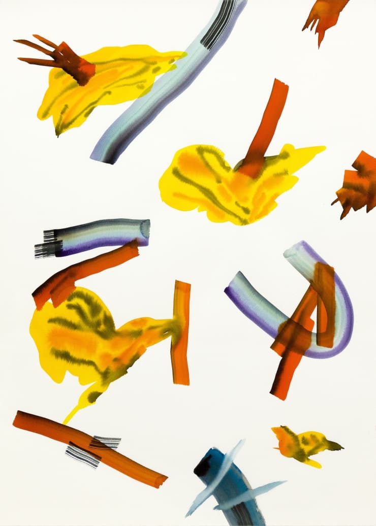 Isabella Nazzarri Tropicana, 2017