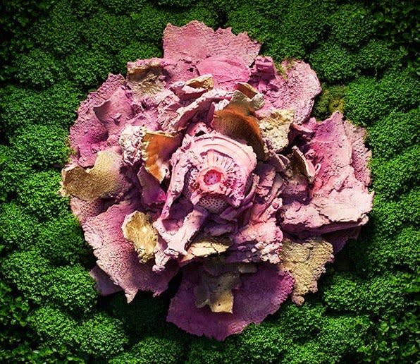 Matteo Negri, 2016, Asso di Fiori, installazione ambientale, in posa cm 200x260x30, piante acqua corrente, 5 elementi in ceramica. Stanza...