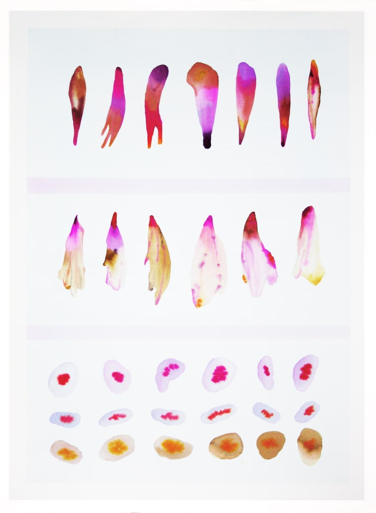 Sistema Innaturale #6, watercolor on paper, 70x50 cm, 2015