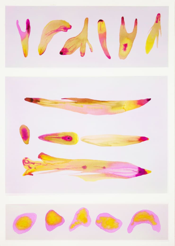 Sistema Innaturale 7, watercolor on paper, 50x70 cm, 2015