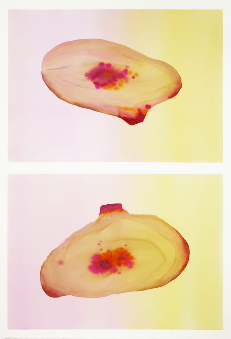 Sistema Innaturale #8, watercolor on paper, 70x50 cm, 2015