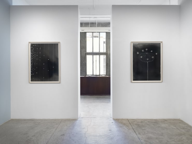 Alison Bradley Kunie Sugiura In New York 05 25 0040