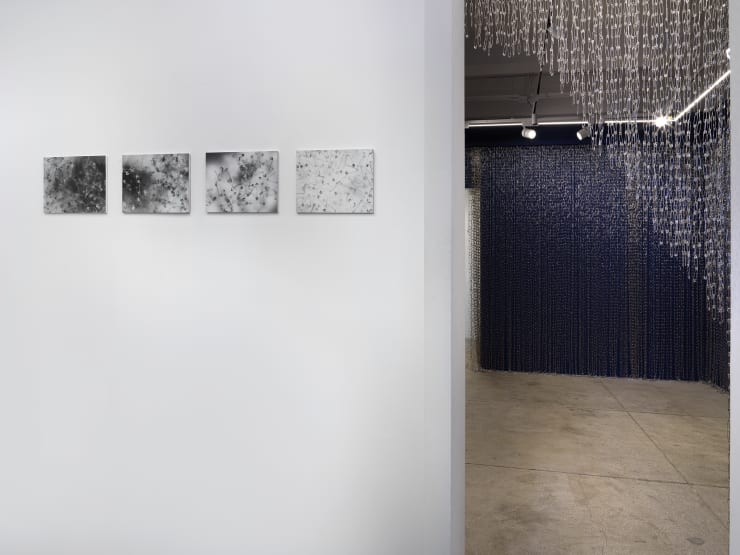 Alison Bradley Projects Tamiko Kawata Beyond Edge Beyond Surface 11 25 0078