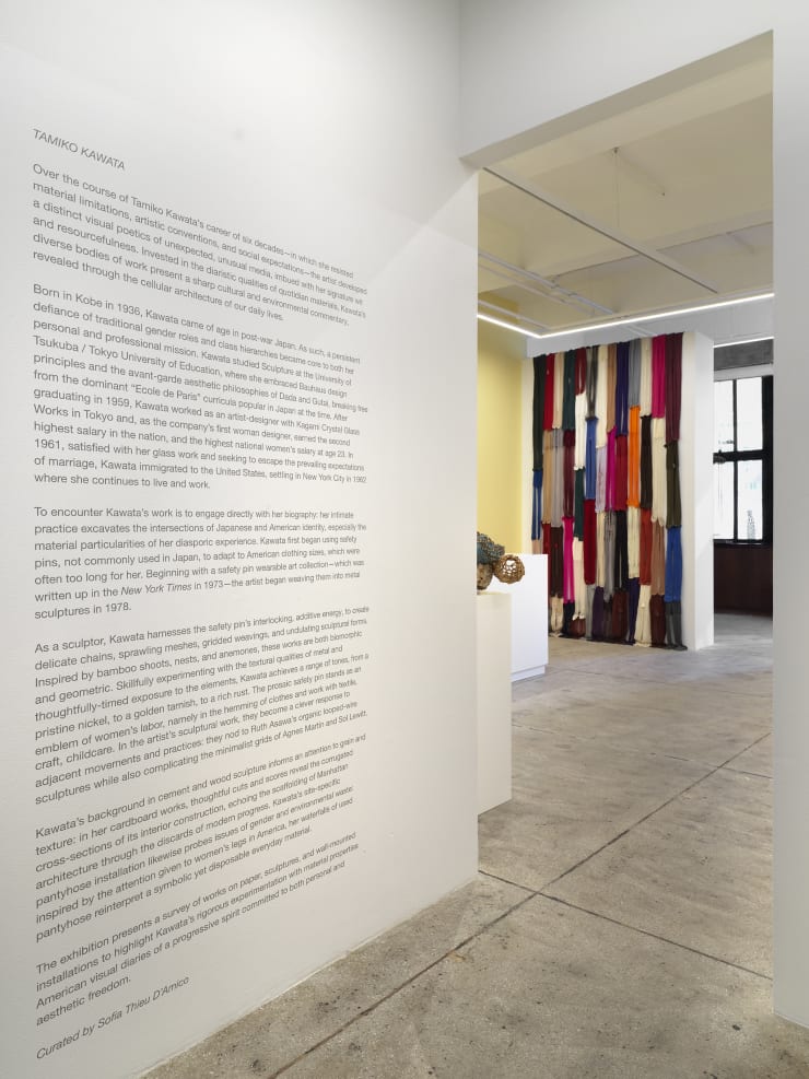 Alison Bradley Projects Tamiko Kawata 12 23 0003