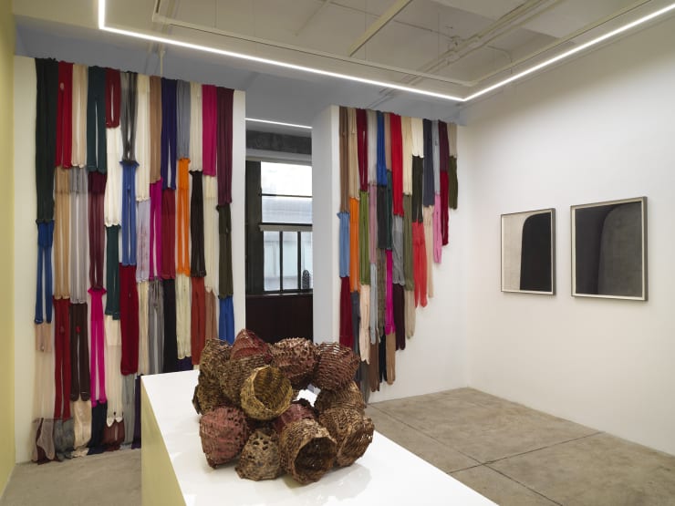 Alison Bradley Projects Tamiko Kawata 12 23 0031