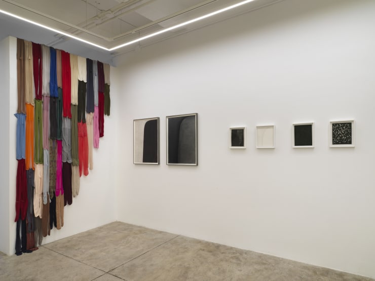 Alison Bradley Projects Tamiko Kawata 12 23 0035