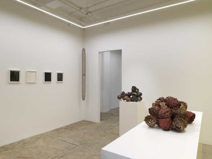 Alison Bradley Projects Tamiko Kawata 12 23 0050