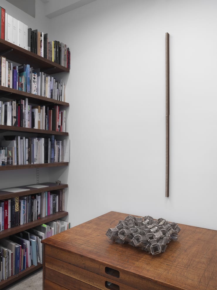 Alison Bradley Projects Tamiko Kawata 12 23 0070