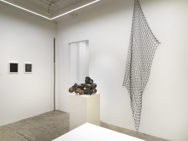 Alison Bradley Projects Tamiko Kawata 12 23 0107