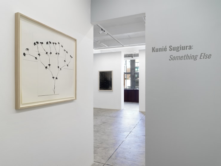 Alison Bradley Kunie Sugiura In New York 05 25 0008