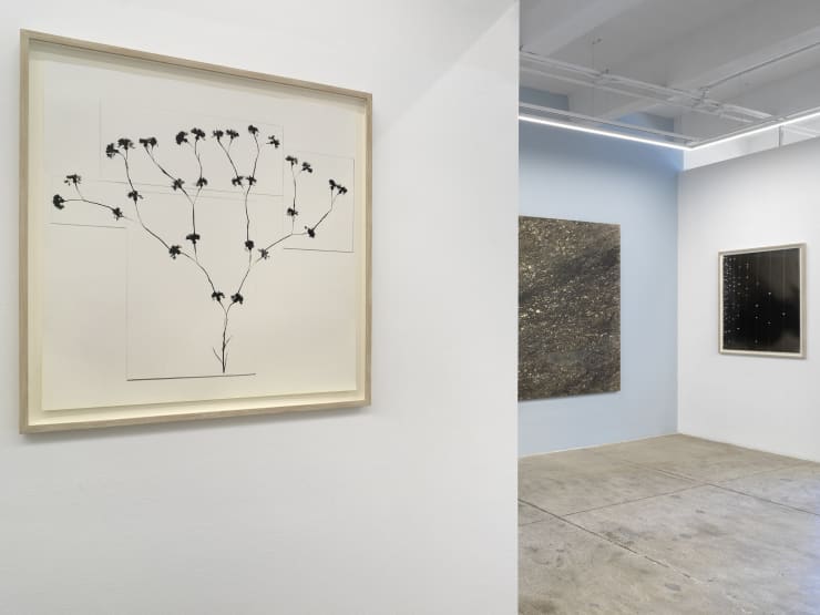 Alison Bradley Kunie Sugiura In New York 05 25 0011