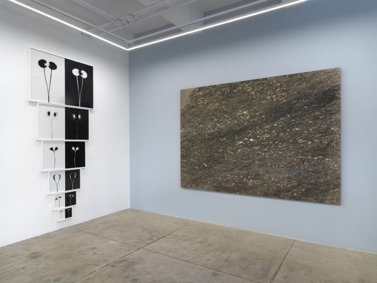 Alison Bradley Kunie Sugiura In New York 05 25 0022