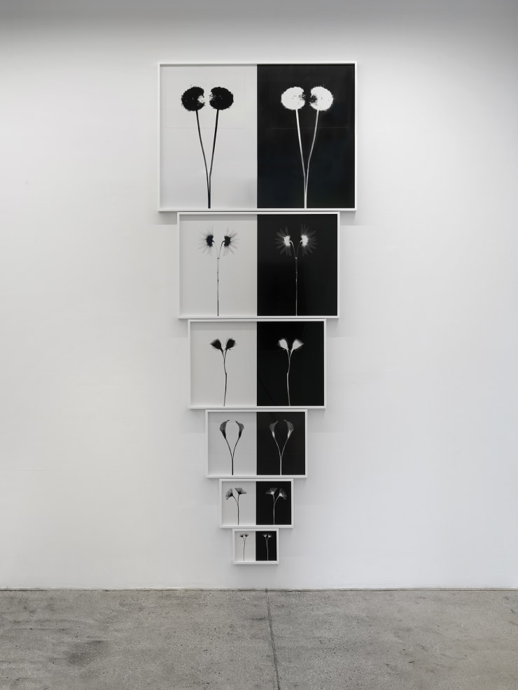 Alison Bradley Kunie Sugiura In New York 05 25 0065