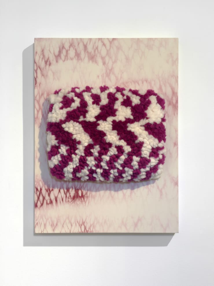 Alison Bradley Projects Kankaku 01 22 0038