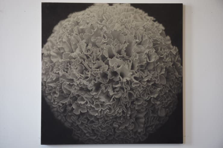 Kunié Sugiura (b. 1942, Nagoya) Yellow Mum, 1969 Photographic emulsion, graphite on canvas Collection of SFMOMA Purchase, by exchange, through gifts of Peggy Guggenheim and Mr. and Mrs. Louis Honig