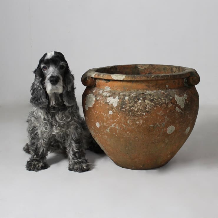 Large Compton Pottery Terracotta Scroll Pot ( sold )