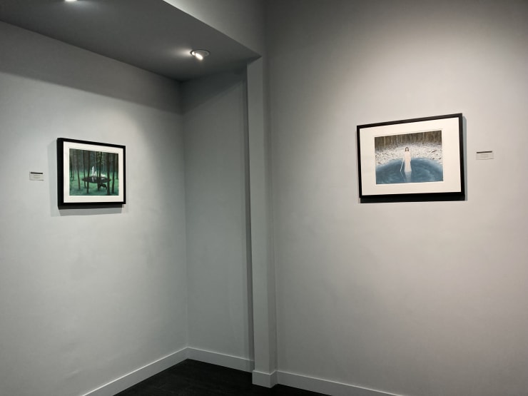 Wiesenfeld Install 33