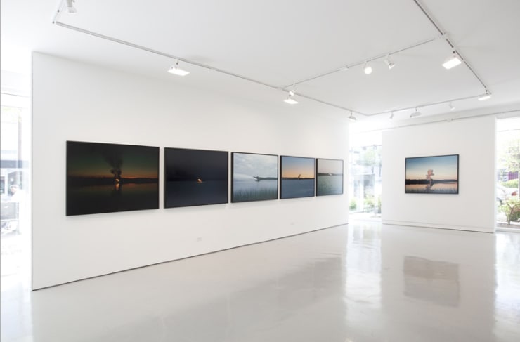 Carrie Schneider: Burning House at Monique Meloche Gallery, Chicago