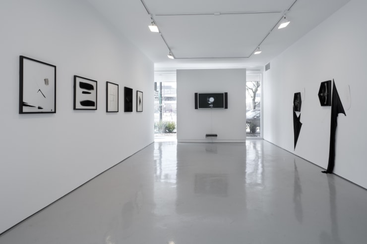 Sheree Hovsepian: Haptic Wonders at Monique Meloche Gallery, Chicago