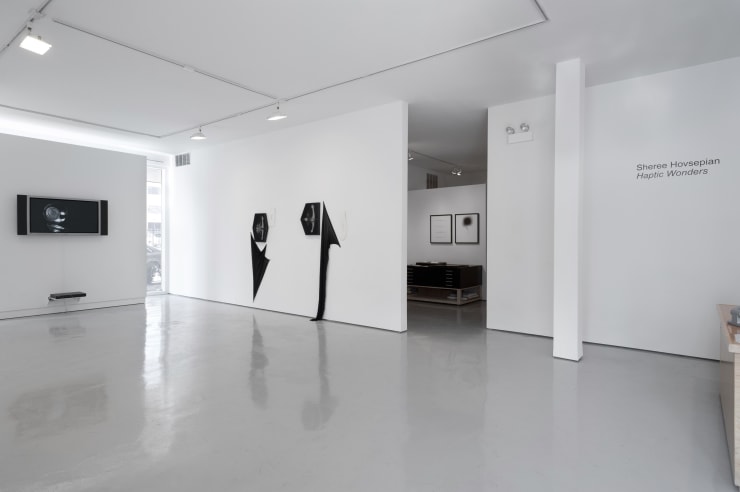 Sheree Hovsepian: Haptic Wonders at Monique Meloche Gallery, Chicago