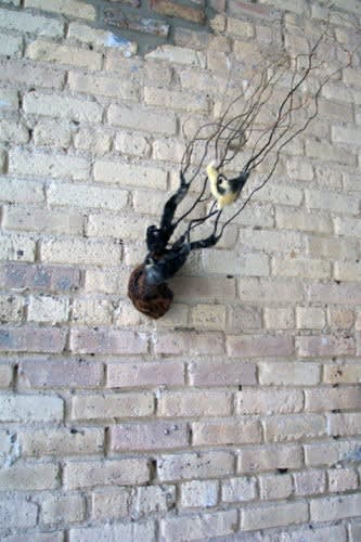 Carlee Fernandez Black Chick with Branches, 2003 Altered taxidermic animals, branches 32 x 22 x 12 in