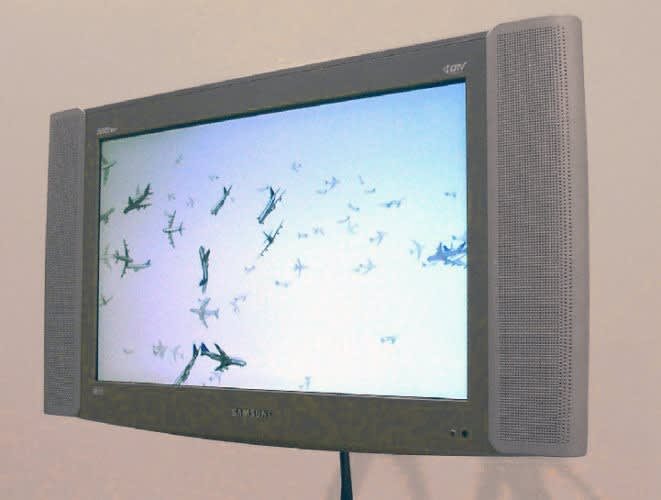 Guy Hundare, Ornithomancy, 2003, DVD.