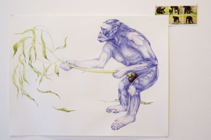 Alison Ruttan, Bigger and Better, 2005, Ink and watercolor on paper, digital photo on archival paper, 40 x 50 inches