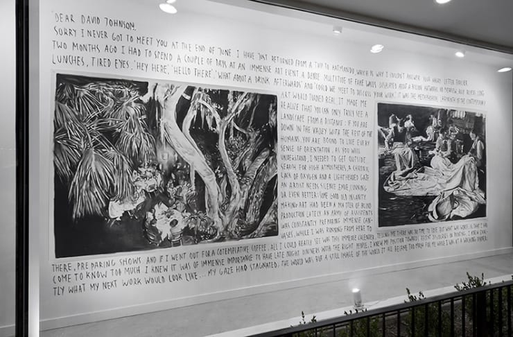 Rinus Van de Velde: Dear David Johnson, at Monique Meloche Gallery Chicago