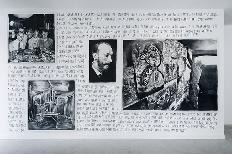 Rinus Van de Velde: Dear David Johnson, at Monique Meloche Gallery Chicago