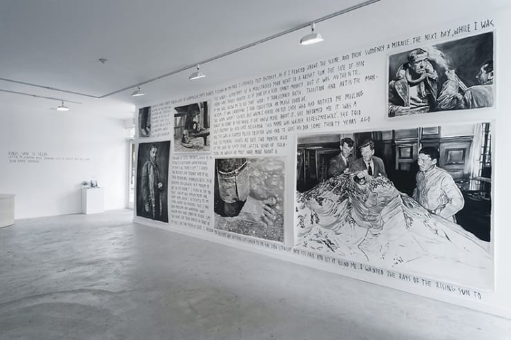 Rinus Van de Velde: Dear David Johnson, at Monique Meloche Gallery Chicago