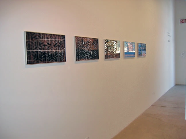 Carla Arocha: Marauders April 27 - June 23, 2007 Installtion view