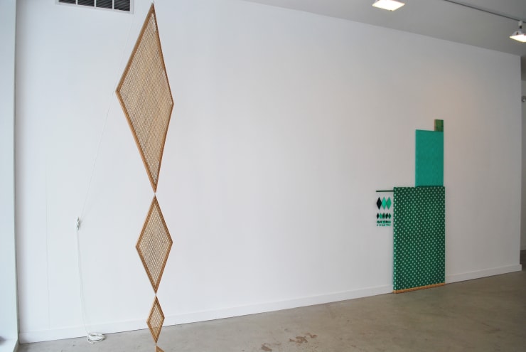 Dan Gunn: Winter Experiment 2011 at Monique Meloche Gallery, Chicago