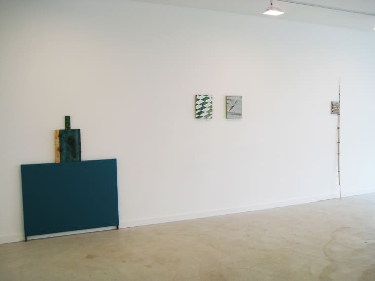 Dan Gunn: Winter Experiment 2011 at Monique Meloche Gallery, Chicago