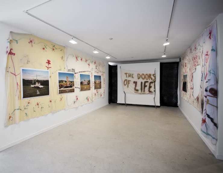 Ben Fain: Winter Experiment 2011 at Monique Meloche Gallery, Chicago