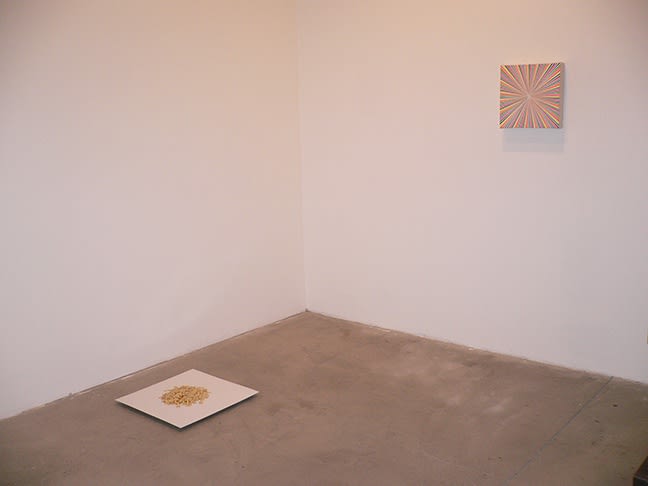 Todd Pavlisko: on and on, September 7 - October 13, 2007.
