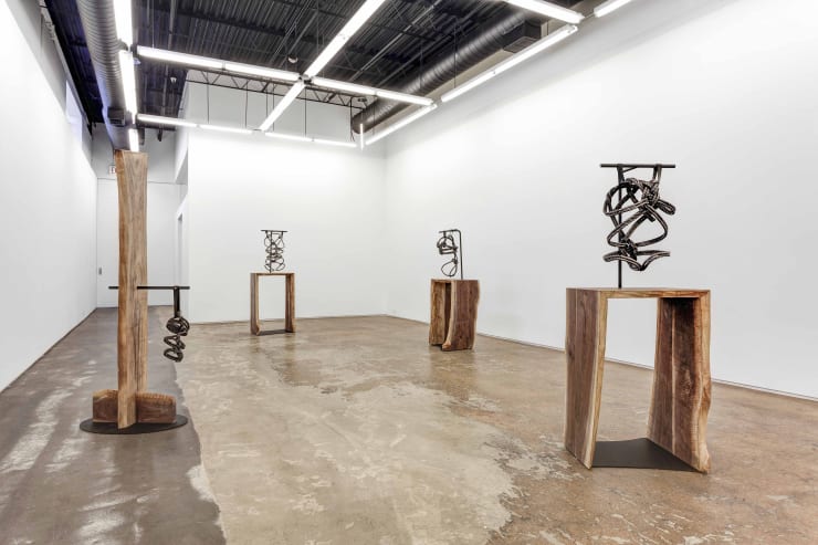 Brendan Fernandes, Restrain at Monique Meloche Gallery, Chicago