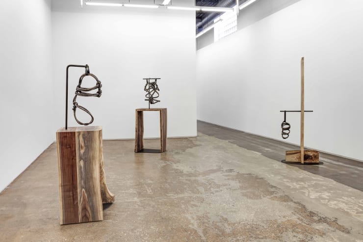 Brendan Fernandes, Restrain at Monique Meloche Gallery, Chicago