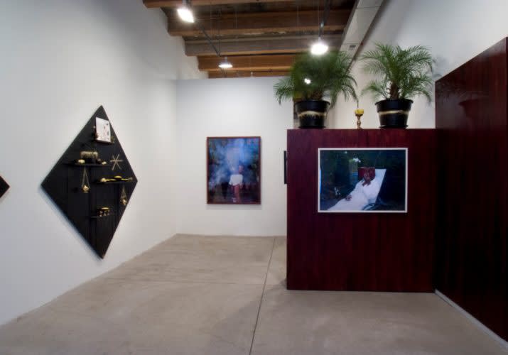Installation view, Rashid Johnson: The New Escapist Promised Land Garden and Recreation Center, September 5 - October 11, 2008.