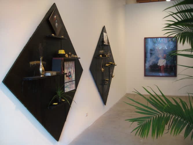 Installation view, Rashid Johnson: The New Escapist Promised Land Garden and Recreation Center, September 5 - October 11, 2008.