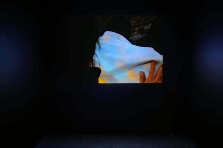 Carrie Schneider: How Not To Fall, October 17 - December 6, 2008.