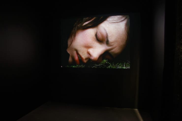 Carrie Schneider: How Not To Fall, October 17 - December 6, 2008.