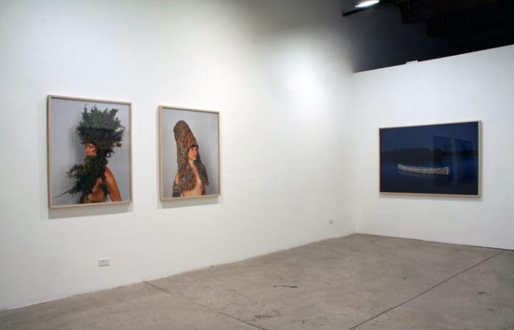 Carrie Schneider: How Not To Fall, October 17 - December 6, 2008.