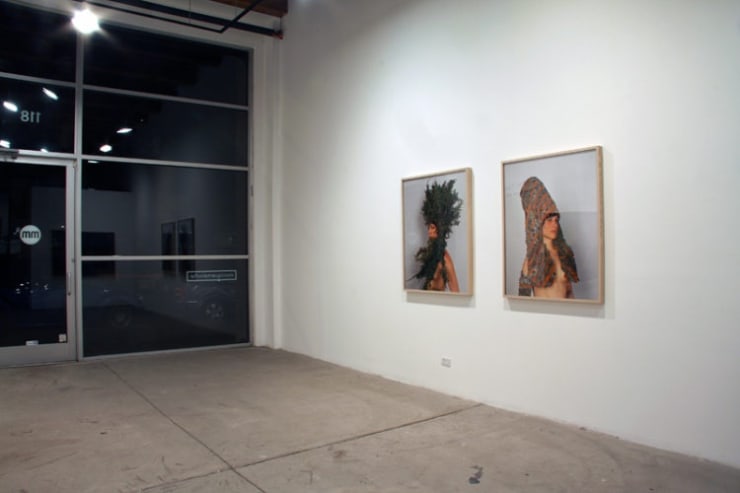 Carrie Schneider: How Not To Fall, October 17 - December 6, 2008.