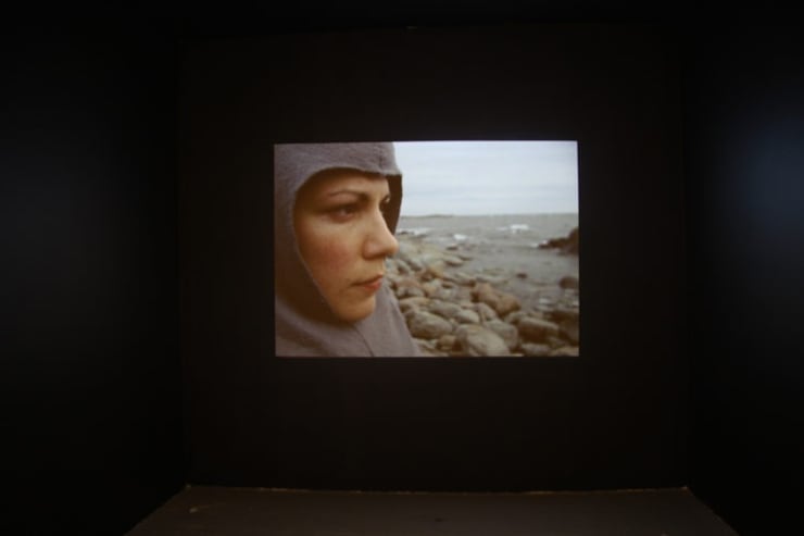 Carrie Schneider: How Not To Fall, October 17 - December 6, 2008.