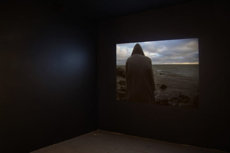 Carrie Schneider: How Not To Fall, October 17 - December 6, 2008.