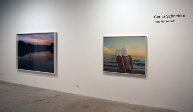 Carrie Schneider: How Not To Fall, October 17 - December 6, 2008.