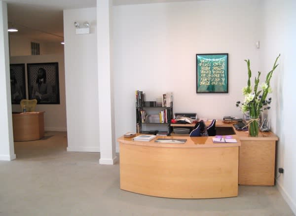 Davis/Langlois: In Our Likeness: Portraits of Illumination, September 12 - October 31, 2009